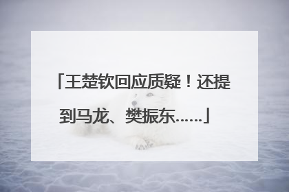 王楚钦回应质疑！还提到马龙、樊振东……